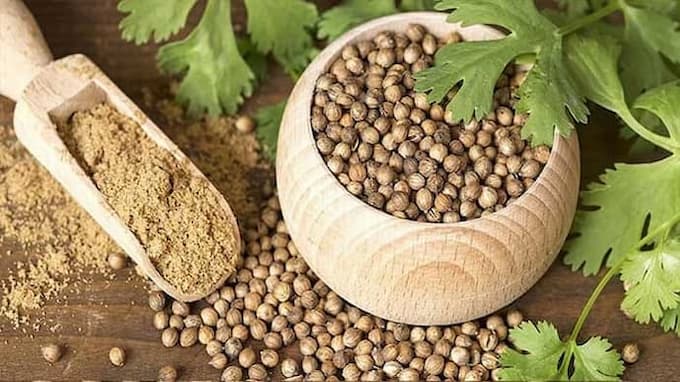 تصویر 5 از قیمت خرید تخم گشنیز آسیاب شده با فروش عمده